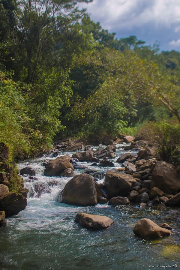Jungle River Ginigathena Exterior photo