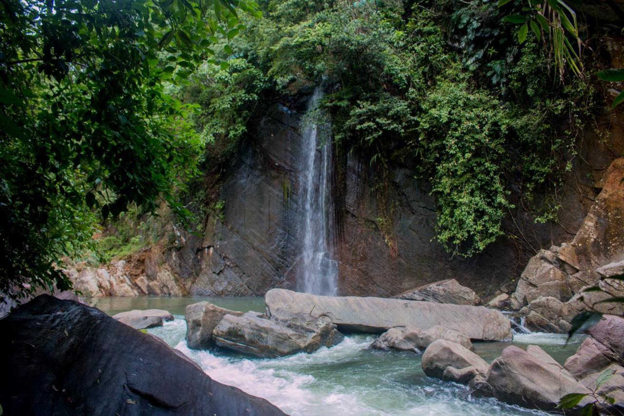 Jungle River Ginigathena Exterior photo